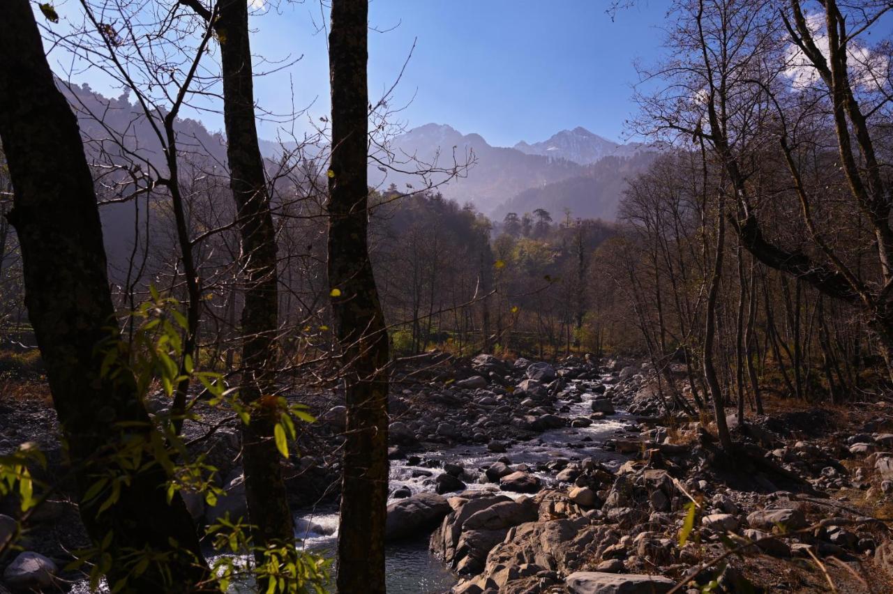 Zostel Dobhi, Manali Hostel Nagar  Exterior photo
