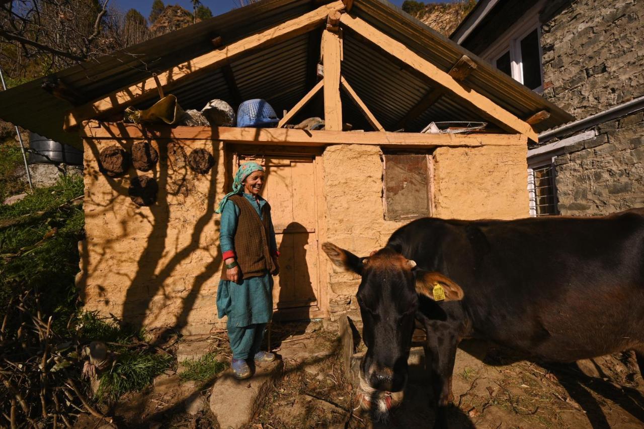 Zostel Dobhi, Manali Hostel Nagar  Exterior photo