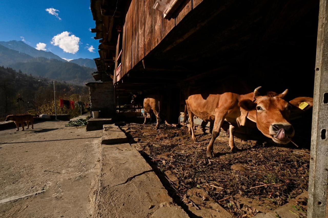 Zostel Dobhi, Manali Hostel Nagar  Exterior photo