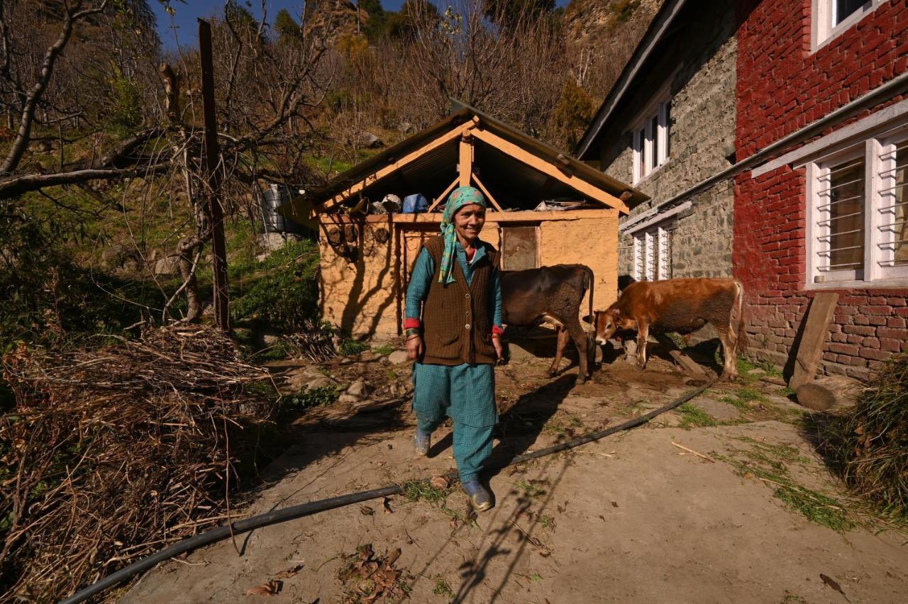 Zostel Dobhi, Manali Hostel Nagar  Exterior photo