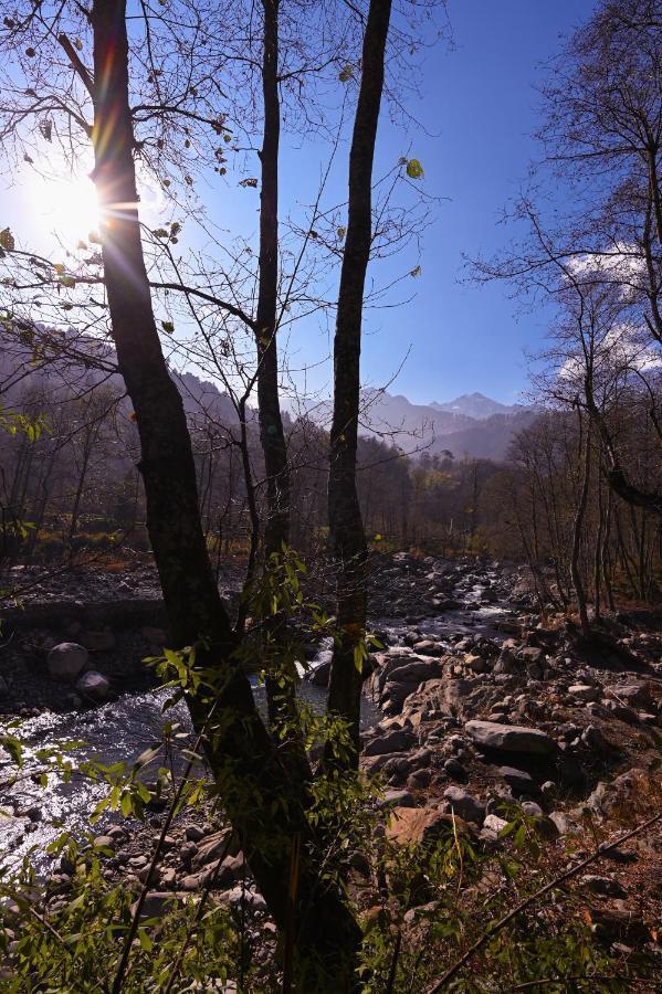 Zostel Dobhi, Manali Hostel Nagar  Exterior photo