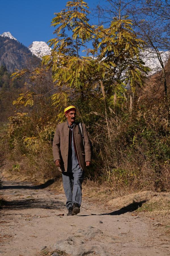 Zostel Dobhi, Manali Hostel Nagar  Exterior photo